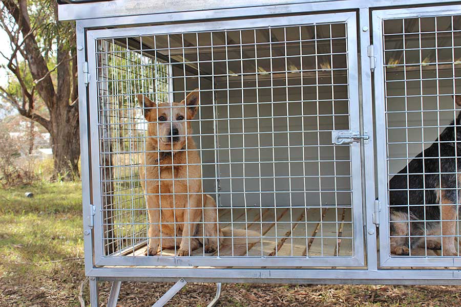 Raised Dog Pen Kennel Floor Ideas Dog House Outdoor Large Breed PawHut Wooden Dog Kennel Outdoor Pet