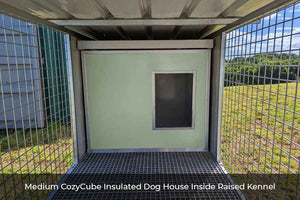 "Aussie Box" Large Raised Double Dog Kennel