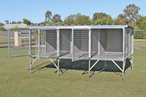 "Aussie Box" Large Raised Triple Dog Kennel